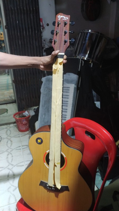 Gavial G_310N